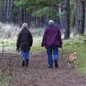 Walk The Dog Under Warmth Protection