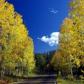 Top 10 Places To Enjoy Fall Foliage in USA 2021